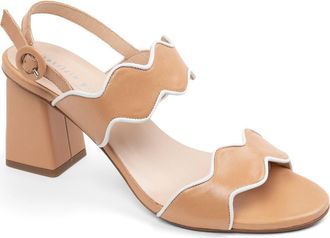 Patricia Green Palm Beach Piped Sandal in Tan/White at Nordstrom, Size 9