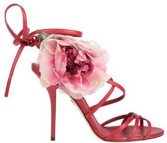 Dolce & Gabbana Sandals