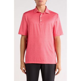 Greg Norman Coral Cove Print Knit Polo in Calypso Coral at Nordstrom Rack, Size Xx-Large