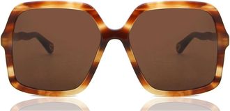 Chloé CH0086S 005 Womens Sunglasses Tortoiseshell Size 58