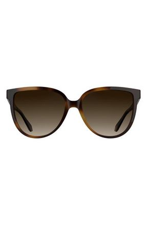 Kendra Scott Dira 57mm Gradient Tea Cup Sunglasses in Tortoise at Nordstrom