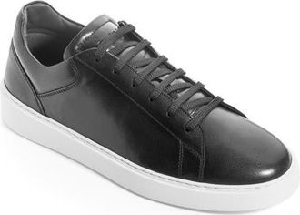 To Boot New York Rocco Sneaker in Buttero Nero Panna at Nordstrom, Size 11.5