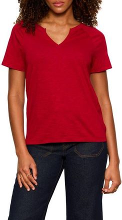 Sanctuary Notch V-Neck Cotton Blend T-Shirt in Red Berry at Nordstrom, Size Xx-Large