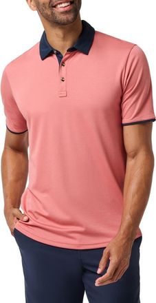 Travis Mathew All Day Social Club Contrast Collar Cotton Blend Polo Shirt in Brick Dust at Nordstrom, Size Xx-Large