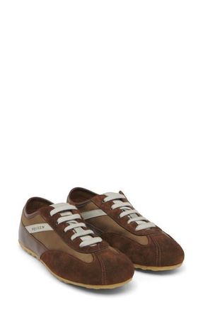 Alexander McQueen Boxe Sneaker in Dark Brown at Nordstrom, Size 8.5Us