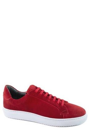 Gernie NYC Slip-On Low Top Sneaker in Red at Nordstrom Rack, Size 7