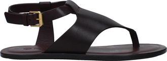 Loro Piana Trani Damess Sandalen Violet/Pruimenleer