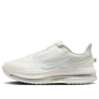 Nike (WMNS) Nike Pegasus Premium Peak White Pure Platinum IO9918-100