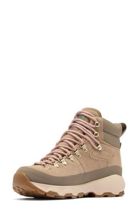 Columbia Newton Alpine PT Waterproof Hiking Boot in Oxford Tan/Foxglove at Nordstrom, Size 8.5