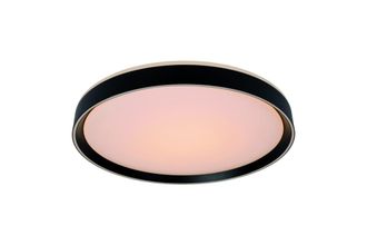 Lucide L&aacute;mpara de techo de acr&iacute;lico con 1 led integrado, negro