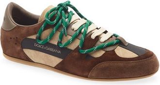 Dolce & Gabbana Ginnica Low Top Leather Sneaker in Cappuccino at Nordstrom, Size 43