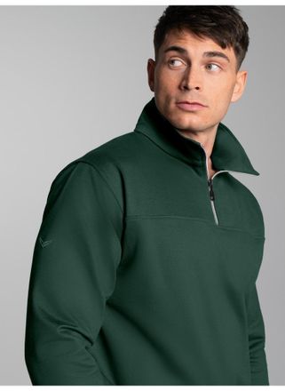 Trigema Sweatshirt TRIGEMA TRIGEMA Sweatshirt mit Reissverschluss, Herren, Gr. 3XL, gr&uuml;n (tanne), 70% Baumwolle, 30% Polyester, Basic, Sweatshirts Sweatshirt