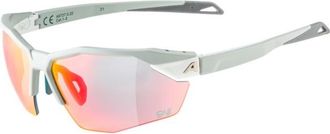 Alpina Twist Six S HR QV Mirror S1-3 Fogstop Velobrille - Unisex | grau