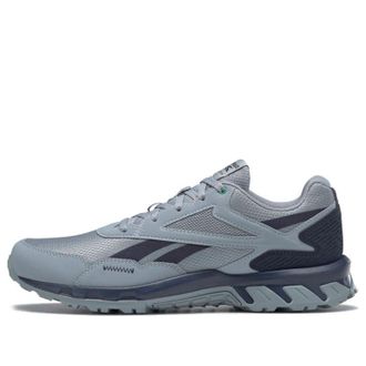 Reebok Ridgerider 5.0 Meteor Grey FW5275