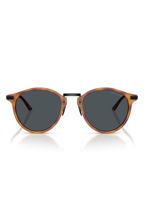 Armani 51mm Round Sunglasses in Matte Brown Turtle /Blue at Nordstrom