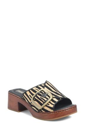 B&oslash;rn Bangle Platform Slide Sandal in Black Zebra at Nordstrom, Size 10
