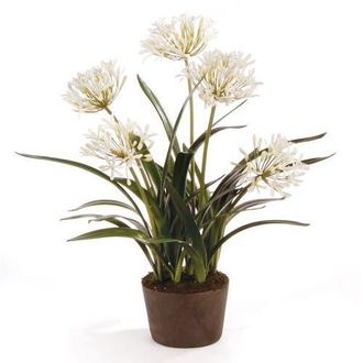 Napa Home & Garden Agapanthus Drop-In Faux (Fake) 29 in White at Nordstrom
