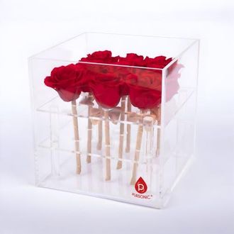 Pursonic 9 Preserved Roses in Acrylic Box in Red at Nordstrom
