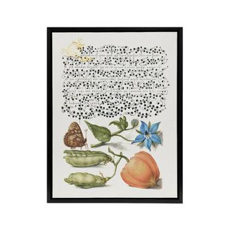Artery8 Talewort Pea & Lantern Plant Calligraphy Framed Canvas Wall Art in White | Size: W24 x H32