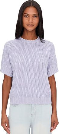 Splendid Annmarie Ss Ssweater Womens Sweater Lavender : XL (Womens 14-16), Cotton