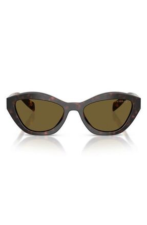 Prada 52mm Butterfly Sunglasses in Root Tortoise /Dark Brown at Nordstrom