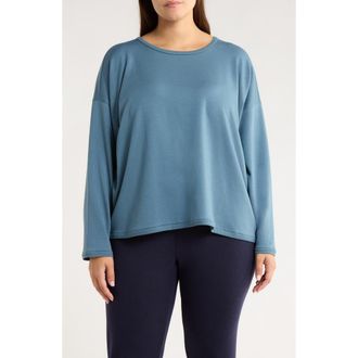 Eileen Fisher Crewneck Boxy Crop T-Shirt in Sea Spray at Nordstrom Rack, Size 2X