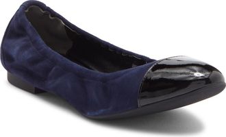 Stuart Weitzman Gabby Ballet Flat in Nice Blue/Black at Nordstrom Rack, Size 6.5