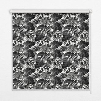 Tulup Tenda A Rullo Interna Per Finestra - Tenda Filtrante Luce - Tenda Privacy - Tenda Decorativa Rettangolare - Rullo Per Interni - (100 Cm X 140 Cm) - Fo