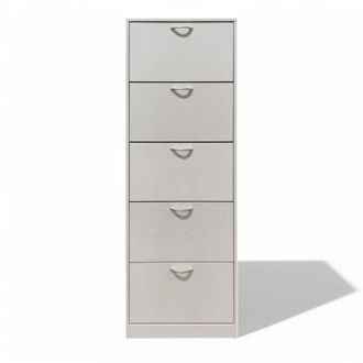 No Brand Scarpiera con 5 ante in legno truciolare bilaminato bianco 60x24xH180 cm