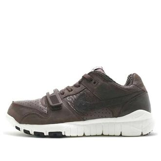 Nike x Stussy Trainer Dunk Low Stussy World Tour 315731-221