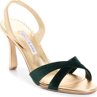 Manolo Blahnik Callydra Slingback Sandal in Dark Green/gold at Nordstrom, Size 39.5