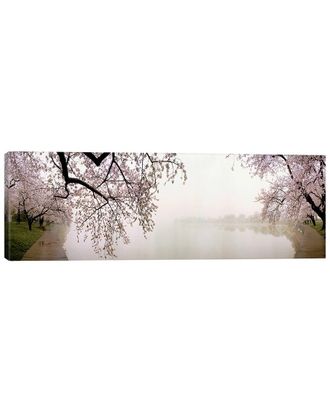 iCanvas Discontinued Icanvas Cherry Blossoms At The Lakesidewashington Dc, Usa By Panoramic Images Wall Art