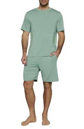Eberjey Henry Stretch Tencel Modal Short Pajamas in Seagrass at Nordstrom, Size X-Large
