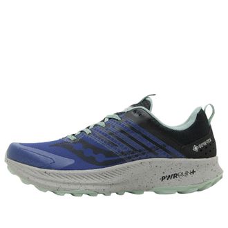 Saucony Ride TR2 Gore-Tex Regal Black S20953-260
