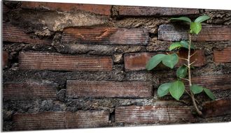 OEM Lastra Protettiva In Vetro Per Stufa 90x52 Brick