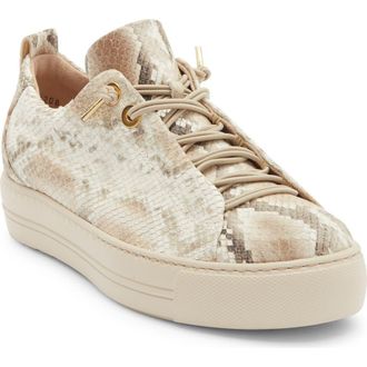 Paul Green Zena Platform Sneaker in Boa Bisque at Nordstrom Rack, Size 11