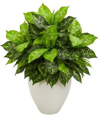 Nearly Natural Dieffenbachia Artificial Plant in White Planter in Green at Nordstrom