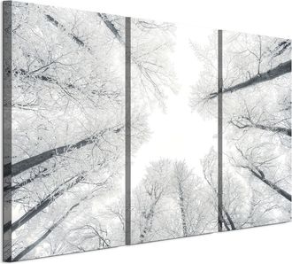 OEM Cuadro Sobre Lienzo Italiano De 90 X 60 Cm, Tr&iacute;ptico - Estilo Escandinavo - Naturaleza Cuadro Sobre Lienzo Italiano De 120 X 80 Cm, Tr&iacute;ptico - Estilo 