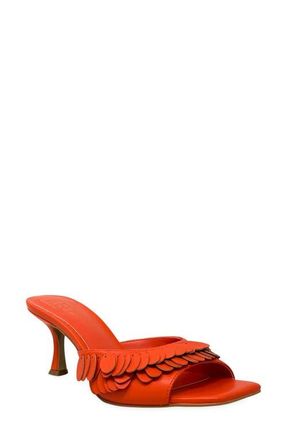 Shushop Grace Slide Sandal in Orange at Nordstrom, Size 6.5