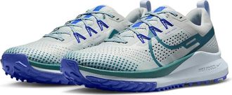 Nike Pegasus Trail 4 DJ6158-005 Sneakers Mens Light Silver Low Top Running Shoes