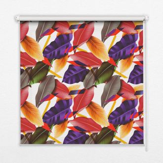 Tulup Tenda A Rullo Interna Per Finestra - Tenda Filtrante Luce - Tenda Privacy - Tenda Decorativa Rettangolare - Rullo Per Interni - (100 Cm X 140 Cm) - Fo