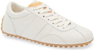 Tod's Sportivo Sneaker in Bianco Calce at Nordstrom, Size 7.5Us