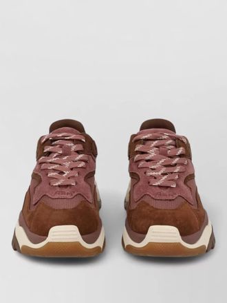 Ash low-top sneakers
