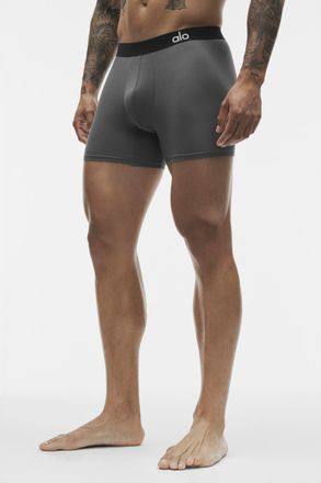 Alo | Day And Night Boxer Brief Shorts in Anthracite, Size: Medium
