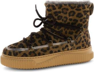 Voile Blanche Cortina Genuine Shearling Bootie in Brown at Nordstrom, Size 11Us