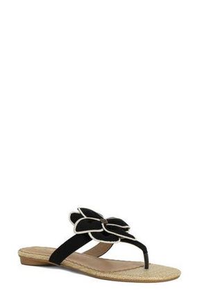 Shushop Brylee Sandal in Black at Nordstrom Rack, Size 8.5