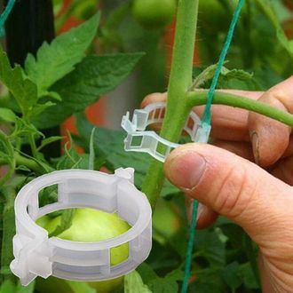 OEM Paquete De 100 Pinzas Para Plantas De Jard&iacute;n, Para Atar Plantas, Cordeles, Vides, Enrejados, Jaulas, Herramientas De Injerto De Vides Y Hortalizas Par