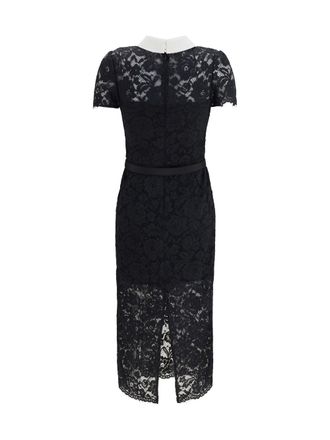 Self Portrait Womens Lace Contrast Collar Midi Dress Black Polyester