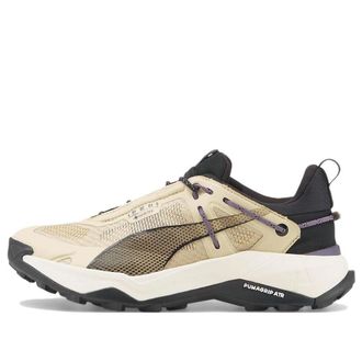 Puma (WMNS) PUMA Explore Nitro GORE-TEX Granola Purple Charcoal 378024-02