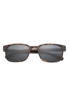 Ted Baker 55mm Polarized Square Sunglasses in Tortoise at Nordstrom Rack